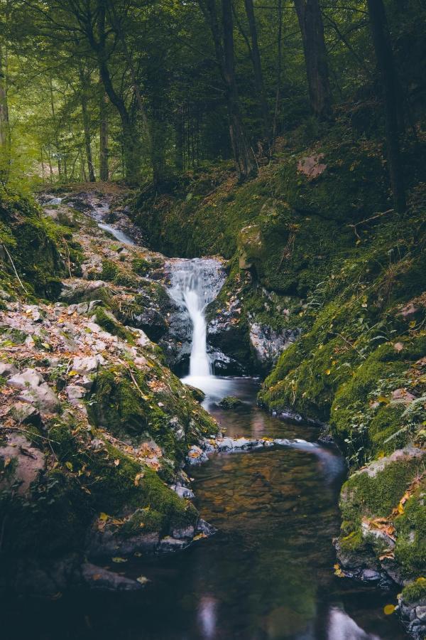 Вилла Domecek Na Kvetinovem Statku Zdice Экстерьер фото